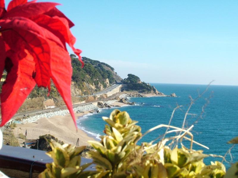 Gran Sol Hotel Sant Pol De Mar Εξωτερικό φωτογραφία